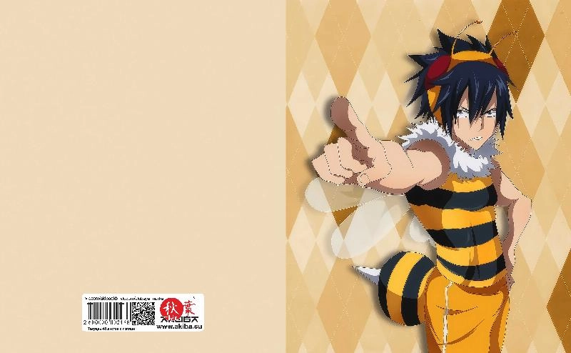 Тетрадь 48 листов в клетку Fairy Tail [T_FaT_008S]