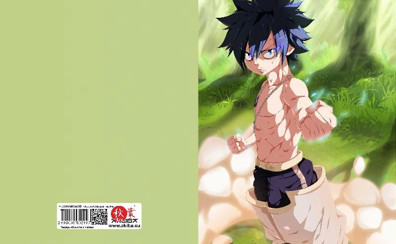 Тетрадь 48 листов в клетку Fairy Tail [T_FaT_009S]