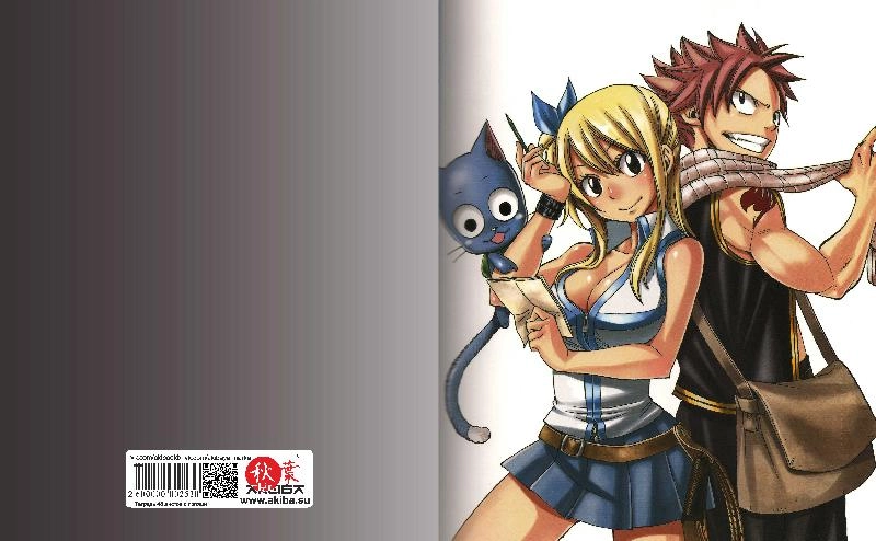 Тетрадь 48 листов в клетку Fairy Tail [T_FaT_013S]