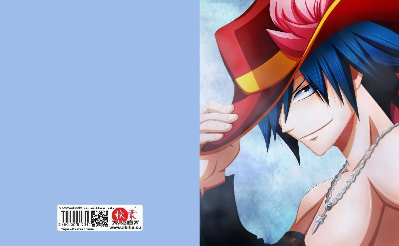 Тетрадь 48 листов в клетку Fairy Tail [T_FaT_014S]