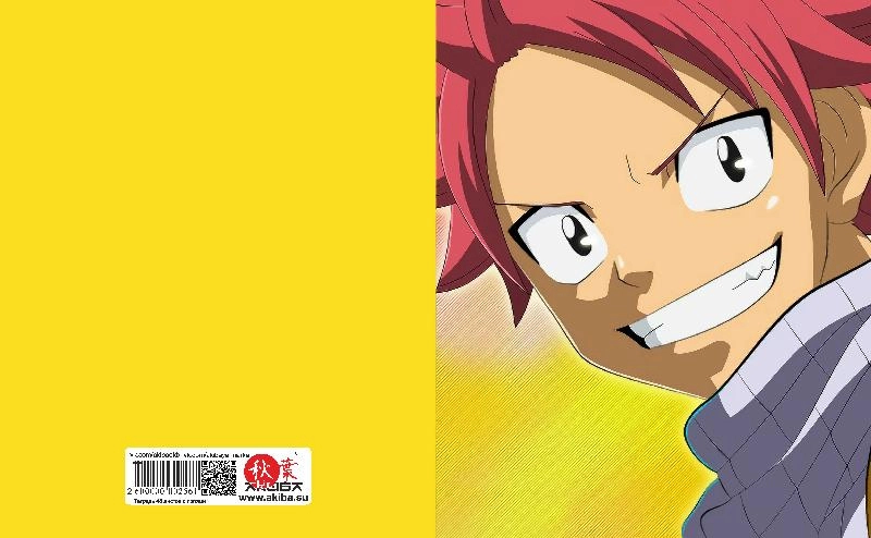 Тетрадь 48 листов в клетку Fairy Tail [T_FaT_016S]