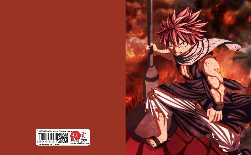 Тетрадь 48 листов в клетку Fairy Tail [T_FaT_018S]