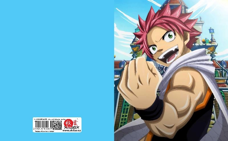 Тетрадь 48 листов в клетку Fairy Tail [T_FaT_023S]