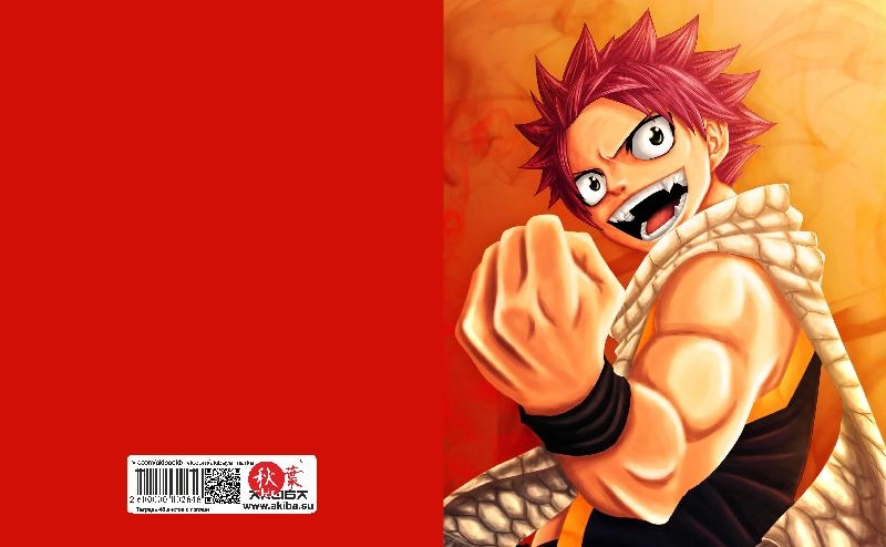 Тетрадь 48 листов в клетку Fairy Tail [T_FaT_024S]