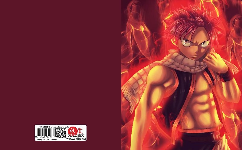 Тетрадь 48 листов в клетку Fairy Tail [T_FaT_028S]