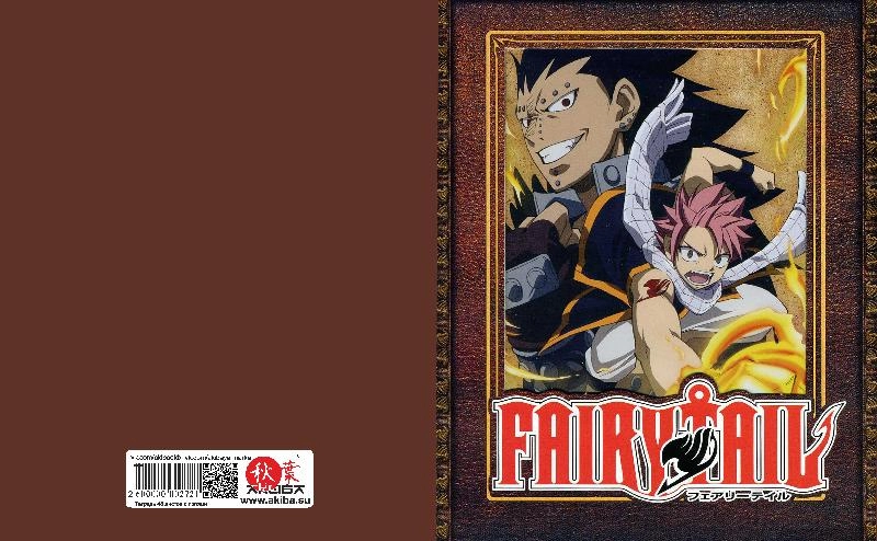 Тетрадь 48 листов в клетку Fairy Tail [T_FaT_032S]