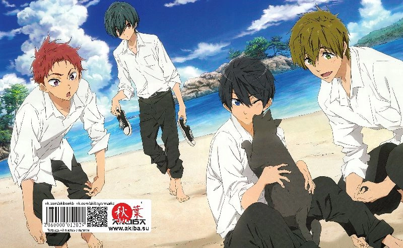 Тетрадь 48 листов в клетку Free! [T_Free_003S]