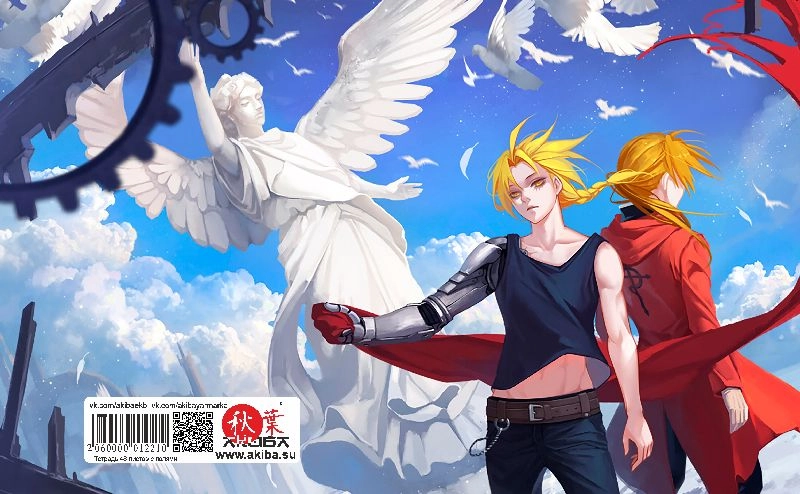 Тетрадь 48 листов в клетку Fullmetal Alchemist [T_FMA_004S]