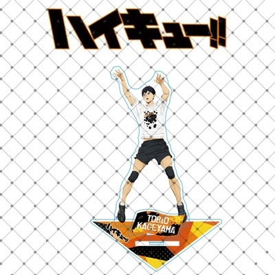 Haikyuu Волейбол стенд Кагеяма 4