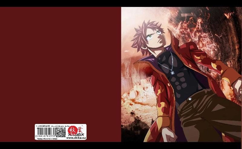 Тетрадь 48 листов в клетку Fairy Tail [T_FaT_033S]