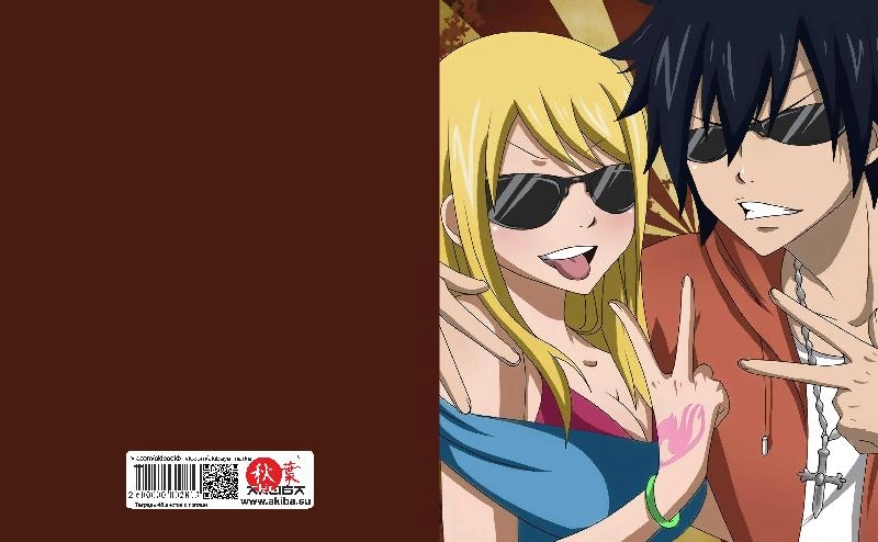 Тетрадь 48 листов в клетку Fairy Tail [T_FaT_041S]