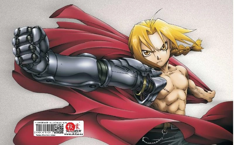 Тетрадь 48 листов в клетку Fullmetal Alchemist [T_FMA_001S]