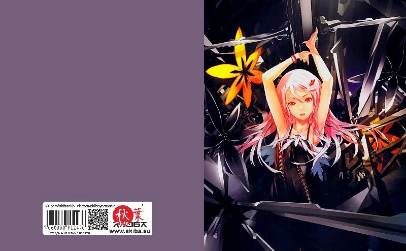 Тетрадь 48 листов в клетку Guilty Crown [T_GCro_012S]