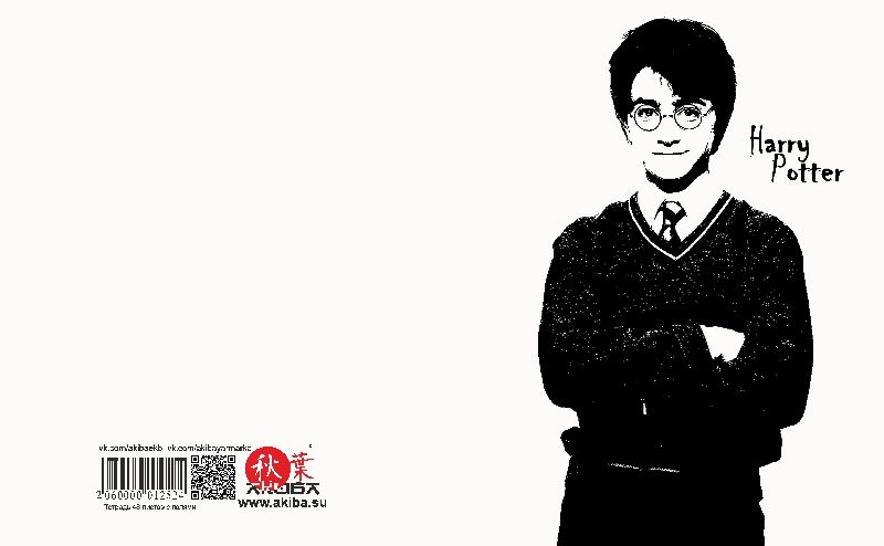 Тетрадь 48 листов в клетку Harry Potter [T_HP_007S]