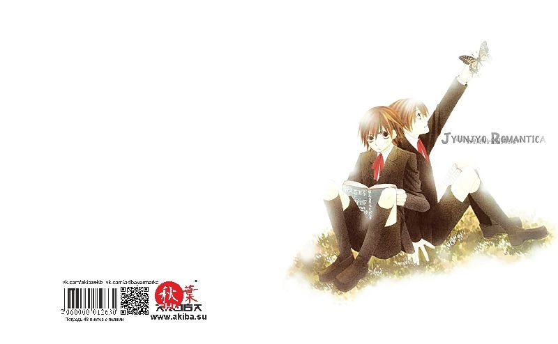 Тетрадь 48 листов в клетку Junjou Romantica [T_JuR_005S]