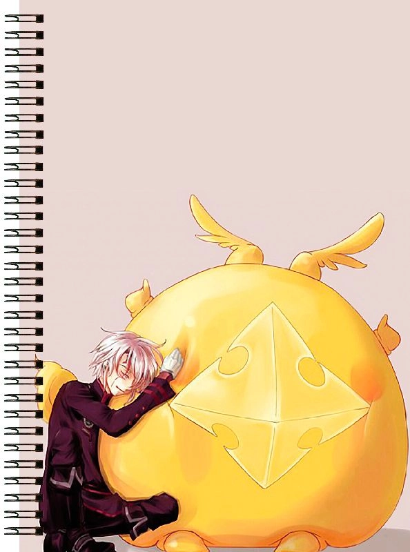 Блокнот А6 D.Gray Man [BL6_DGM_002S]