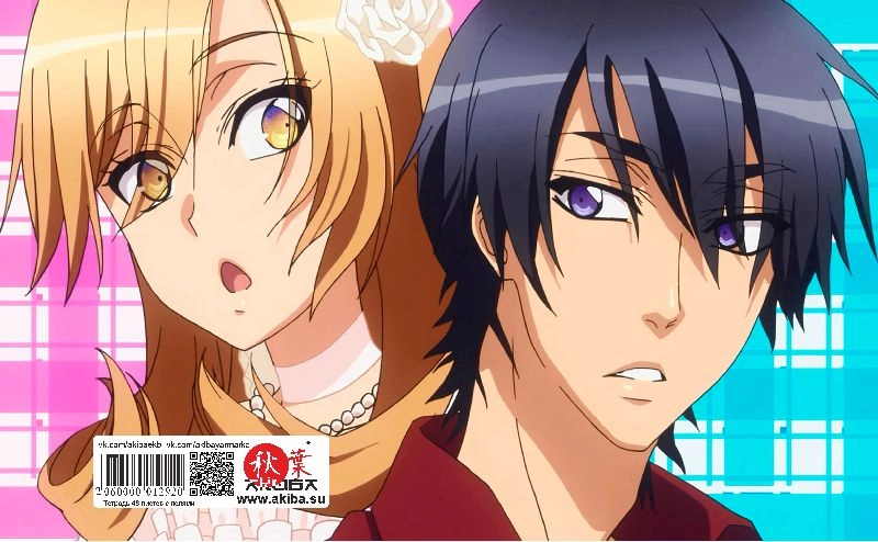 Тетрадь 48 листов в клетку Love Stage [T_LovSt_003S]