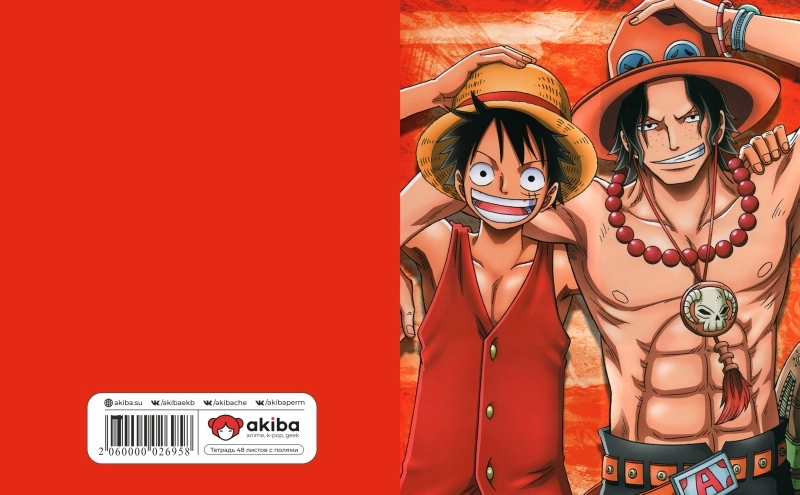 Тетрадь 48 листов в клетку One Piece [T_OnP_025S]