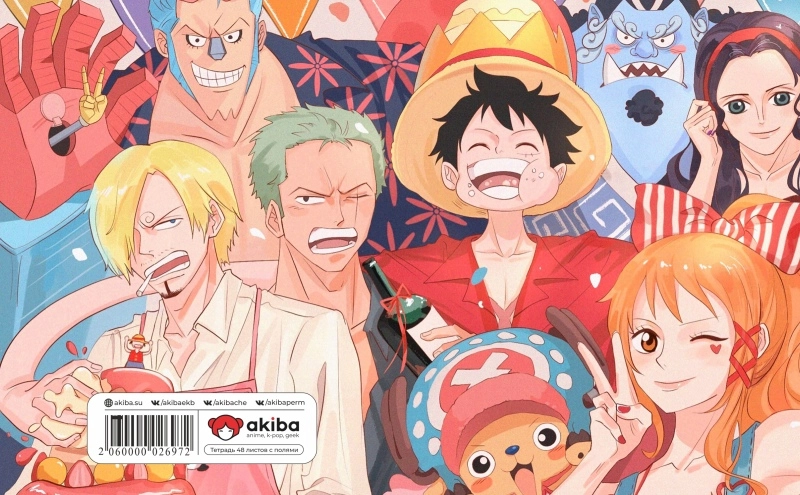 Тетрадь 48 листов в клетку One Piece [T_OnP_027S]