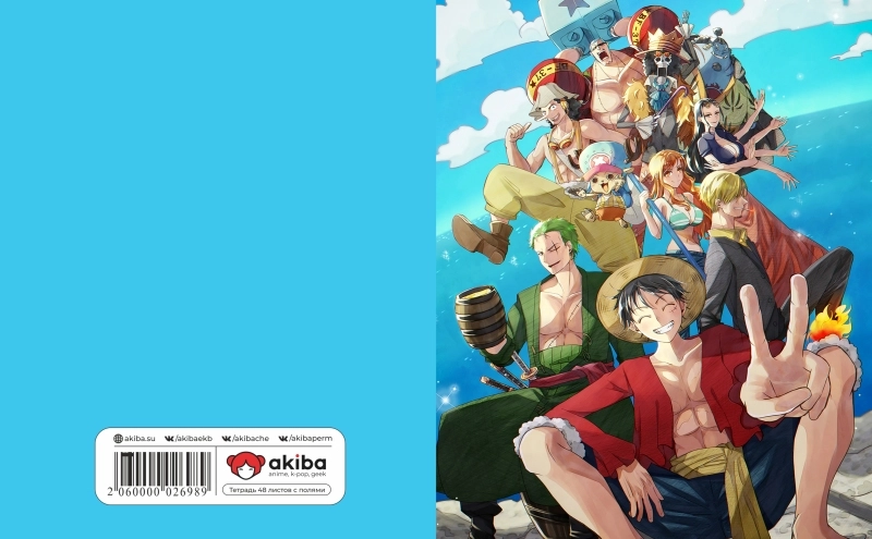 Тетрадь 48 листов в клетку One Piece [T_OnP_028S]