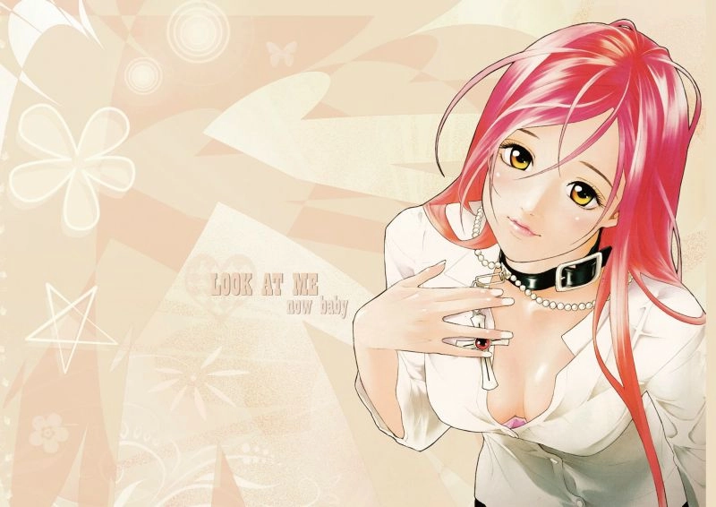 Плакат A3 Rosario and Vampire [3A_RoV_540S]