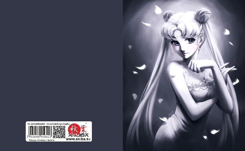 Тетрадь 48 листов в клетку Sailormoon [T_SM_008S]