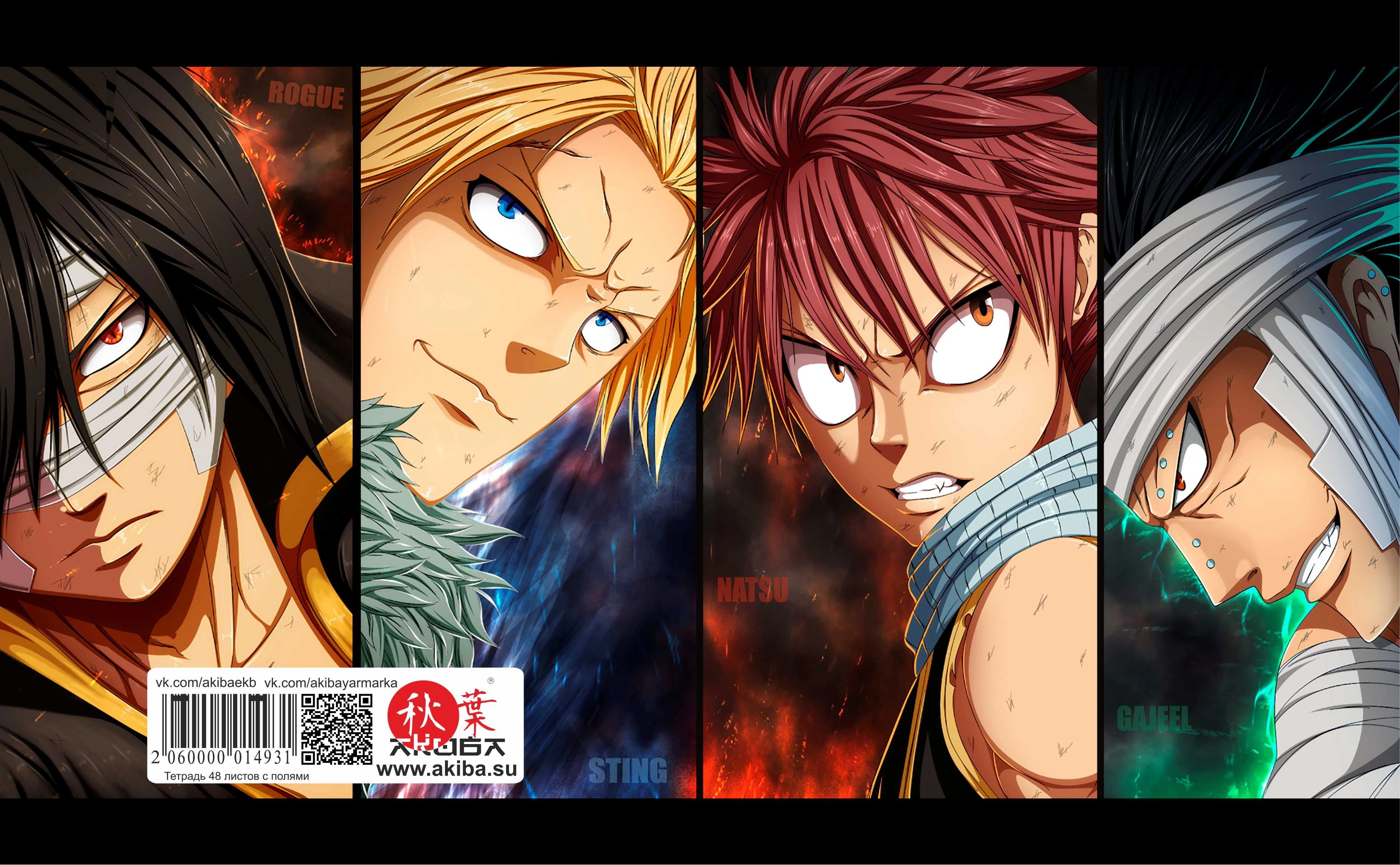 Тетрадь 48 листов в клетку Fairy Tail [T_FaT_049S]