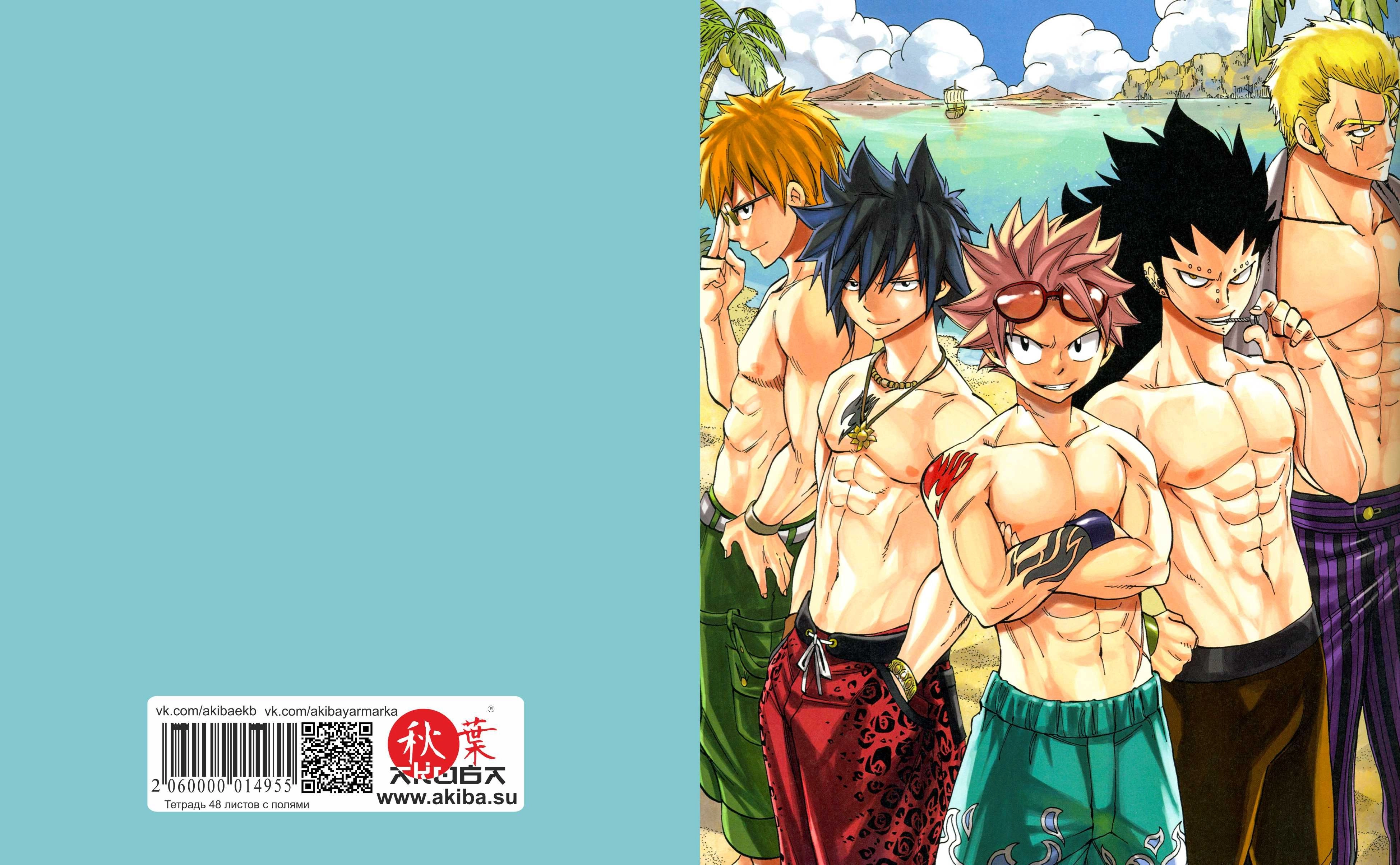 Тетрадь 48 листов в клетку Fairy Tail [T_FaT_051S]