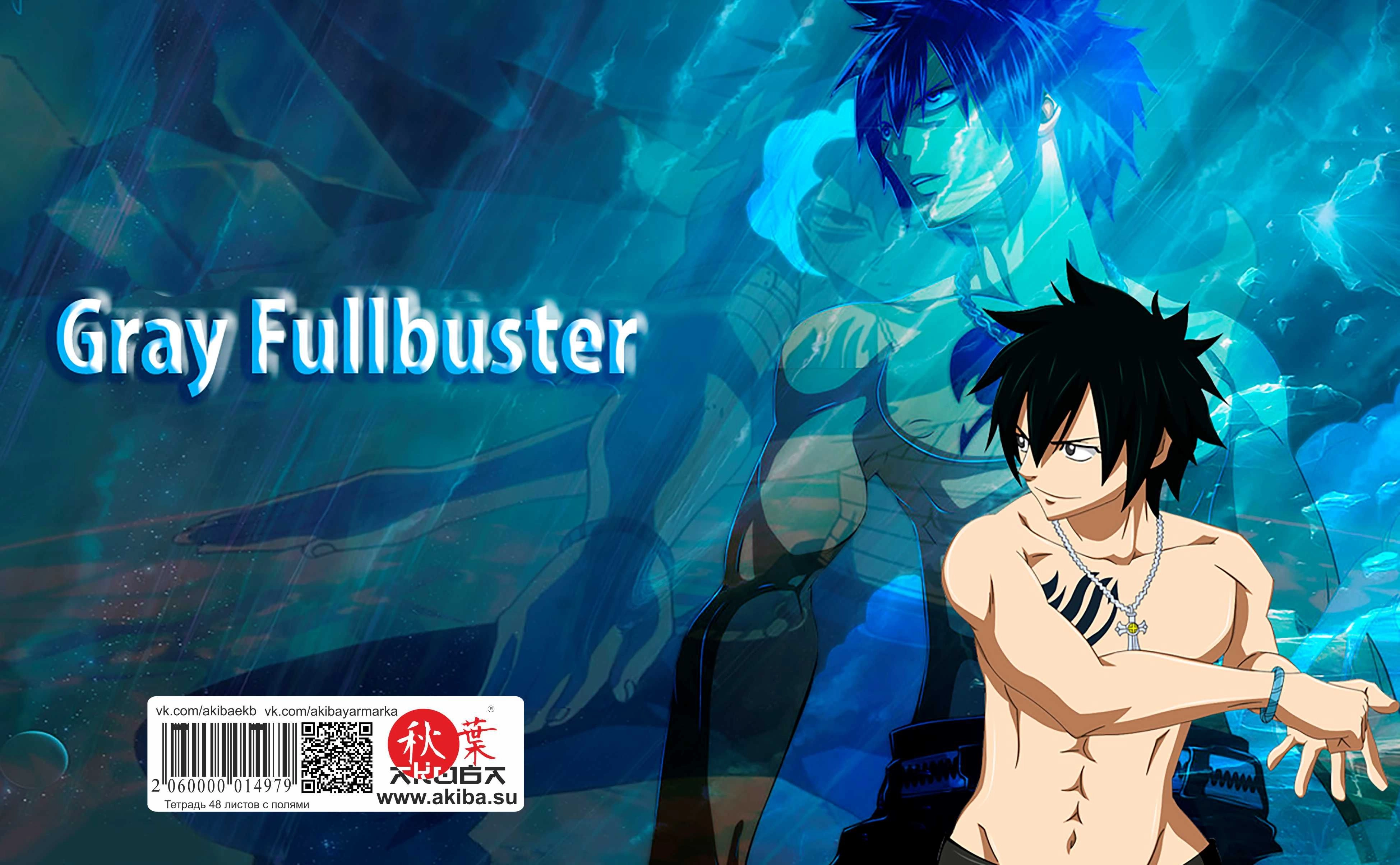 Тетрадь 48 листов в клетку Fairy Tail [T_FaT_053S]