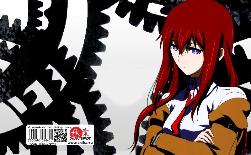 Тетрадь 48 листов в клетку Steins gate [T_StGa_008S]