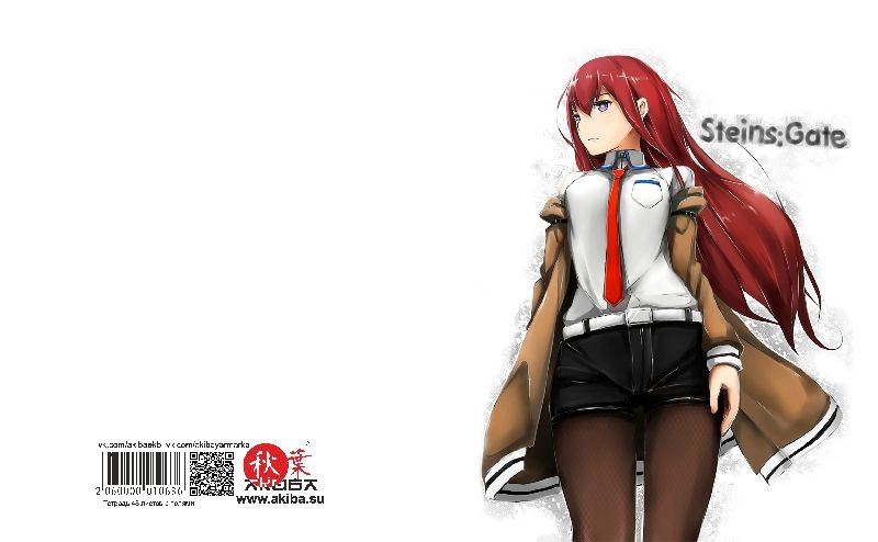 Тетрадь 48 листов в клетку Steins gate [T_StGa_011S]