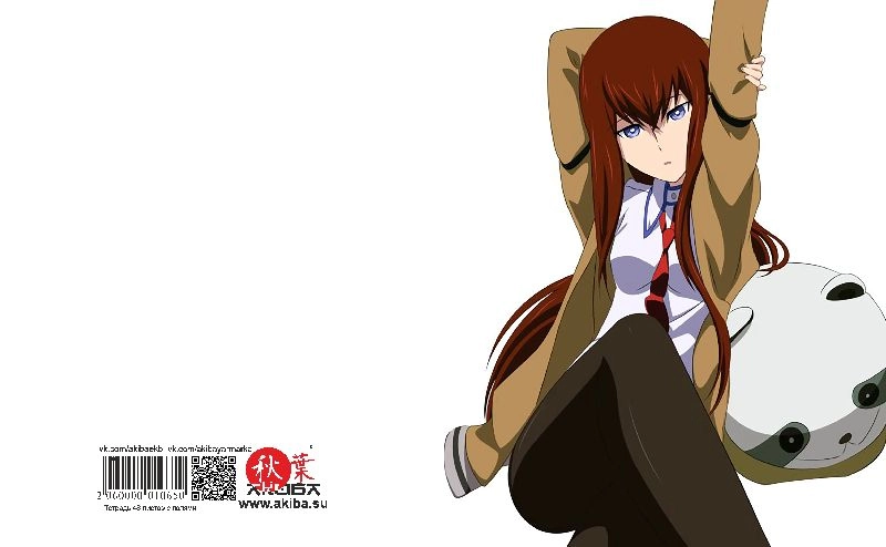 Тетрадь 48 листов в клетку Steins gate [T_StGa_013S]