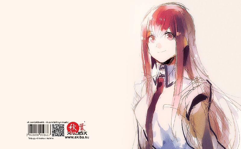 Тетрадь 48 листов в клетку Steins gate [T_StGa_014S]