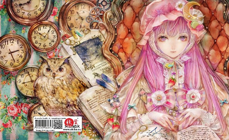 Тетрадь 48 листов в клетку Rozen Maiden [T_Roz_001S]