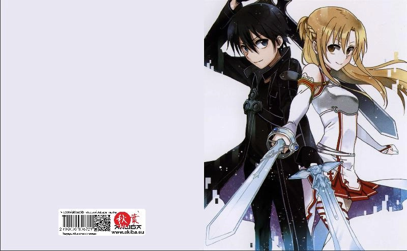 Тетрадь 48 листов в клетку Sword Art Online [T_SAO_008S]