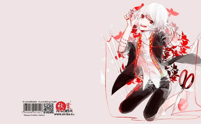 Тетрадь 48 листов в клетку Tokyo Ghoul [T_TokG_027S]