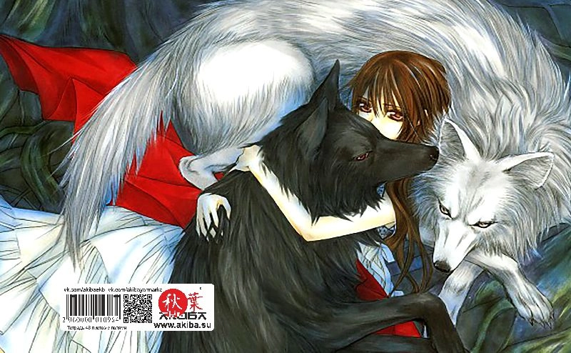 Тетрадь 48 листов в клетку Vampire Knight [T_VamK_003S]