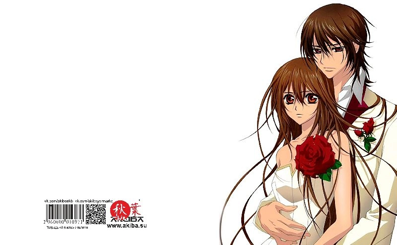 Тетрадь 48 листов в клетку Vampire Knight [T_VamK_004S]