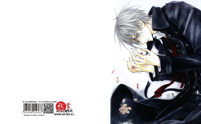 Тетрадь 48 листов в клетку Vampire Knight [T_VamK_005S]