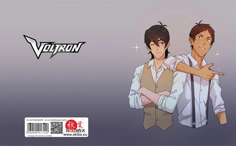 Тетрадь 48 листов в клетку Voltron [T_Vol_002S]