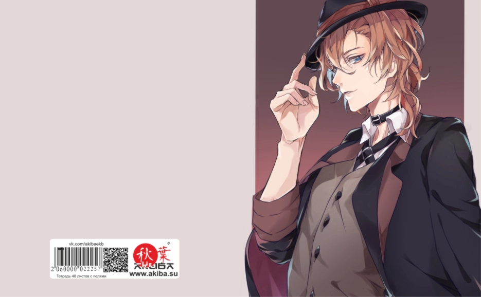 Тетрадь 48 листов в клетку Bungou Stray Dogs [T_BSD_030S]