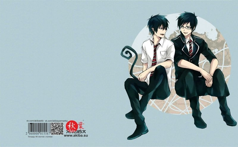 Тетрадь 48 листов в клетку Ao no Exorcist [T_Aon_031S]