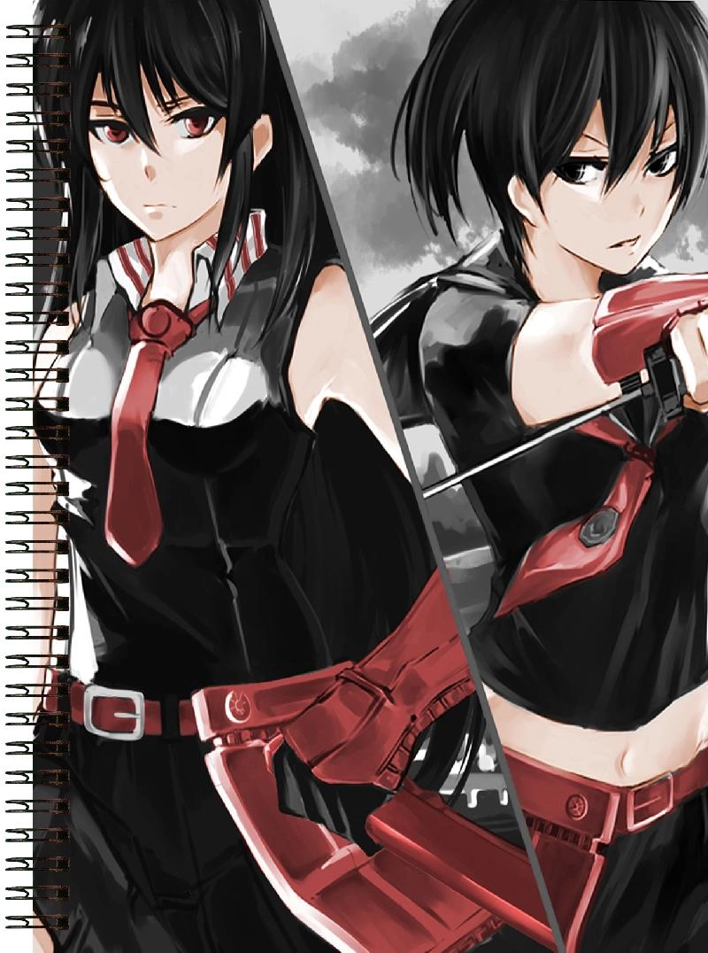 Блокнот А6 Akame ga Kill! [BL6_Akame_004S]