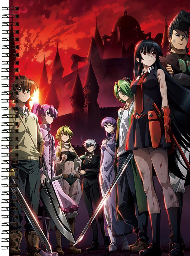 Блокнот А6 Akame ga Kill! [BL6_Akame_007S]