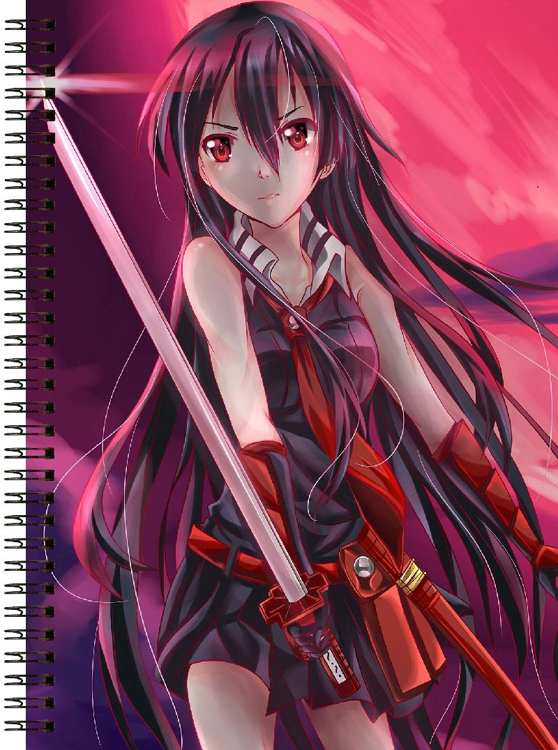 Блокнот А6 Akame ga Kill! [BL6_Akame_012S]