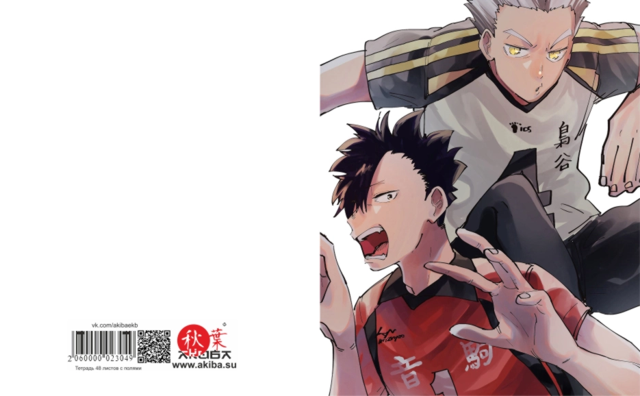 Тетрадь 48 листов в клетку Haikyuu [T_Haiky_016S]