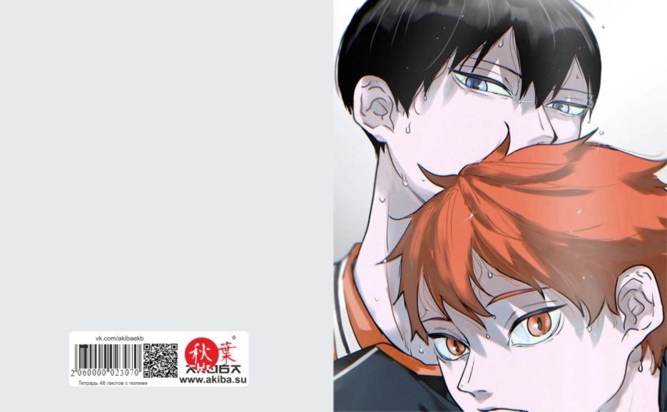 Тетрадь 48 листов в клетку Haikyuu [T_Haiky_019S]