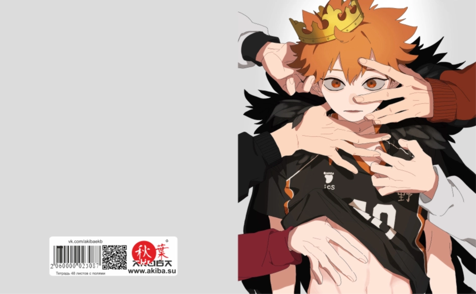 Тетрадь 48 листов в клетку Haikyuu [T_Haiky_020S]