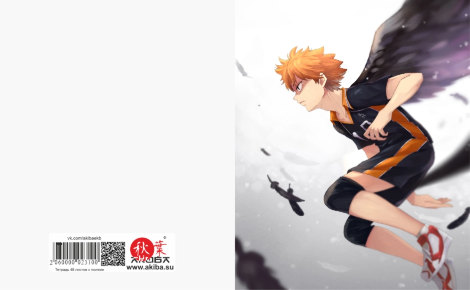 Тетрадь 48 листов в клетку Haikyuu [T_Haiky_022S]