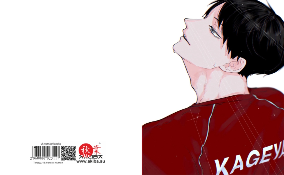 Тетрадь 48 листов в клетку Haikyuu [T_Haiky_023S]